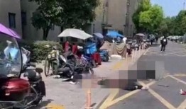 网友爆料坠楼案件视频最新,惊现坠楼案件，现场视频引发网友热议