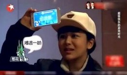 马天宇李治廷最新爆料,揭秘娱乐圈幕后真相