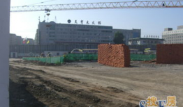 土牛行情最新爆料,最新爆料揭示市场动态与趋势