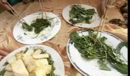 广东新瓜最新爆料,揭秘背后惊人真相